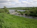 River Ribble near Elston Lane