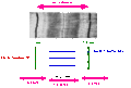 Thumbnail for version as of 10:06, 7 May 2006