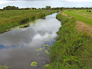 Sowy River artificial drainage channel in Somerset, England