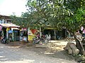 rural petrol for motor scooters (Thailand)