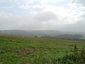 Wiehengebirge im Nebel