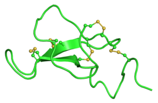 <span class="mw-page-title-main">Agouti-related peptide</span> Mammalian protein found in Homo sapiens