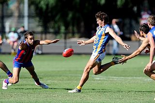 <span class="mw-page-title-main">Ben Duscher</span> Australian rules footballer