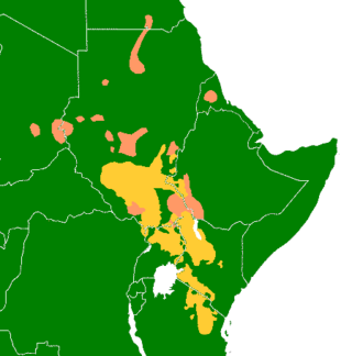 <span class="mw-page-title-main">Eastern Sudanic languages</span> Proposed language family