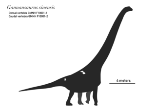 <i>Gannansaurus</i> Extinct genus of dinosaurs