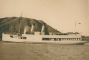 HMNZS Duchess.png