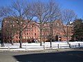 Musée d'histoire naturelle de Harvard.