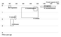 Described Hominin species, 1950