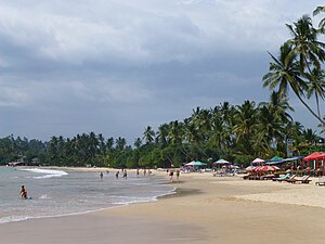 Mirissa beach Mirissa-Plage (3).jpg