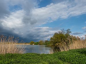 Neuhaus Angerweiher