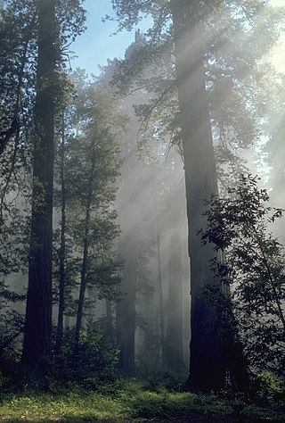 <span class="mw-page-title-main">Protected areas of California</span> Protected environmental areas of California, US