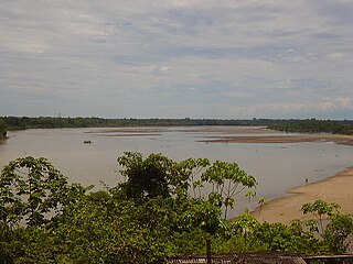 <span class="mw-page-title-main">Caquetá moist forests</span> Ecoregion in the Amazon biome