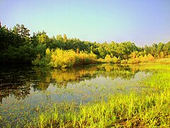 Post-glacial lake in Sadykierz, Poland