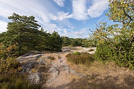 Sandhamn August 2016 02