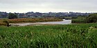 Cmglee Manningtree Dedham Vale.jpg