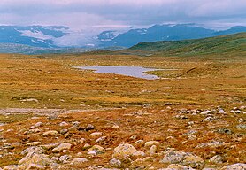 Gletscher in der Hardangervidda im August