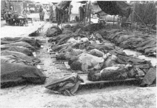 <span class="mw-page-title-main">Hill 303 massacre</span> 1950 North Korean War Crime Massacre