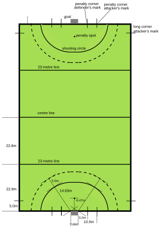 <span class="mw-page-title-main">Field hockey pitch</span> Playing surface in field hockey