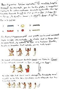 Page manuscrite de Champollion dans la Grammaire