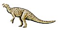 Muttaburrasaurus