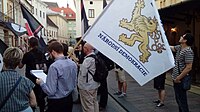 Young men holding flags