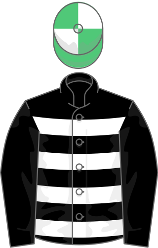 <span class="mw-page-title-main">Norton's Coin</span> British-bred Thoroughbred racehorse