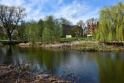 Zasław Malicki Park