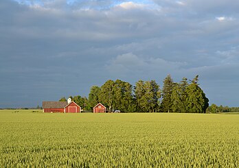 Paysage d'Östergötland, près de Mjölby. (définition réelle 2 988 × 2 106)