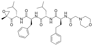 <span class="mw-page-title-main">Carfilzomib</span> Chemical compound