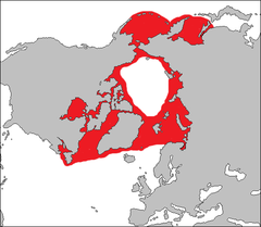 Distribuição geográfica da foca-barbuda