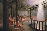 Sauna with geysir