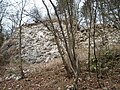 Ruins of Krško Castle