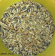 Hagoromo budgies seed mixture photo.jpg