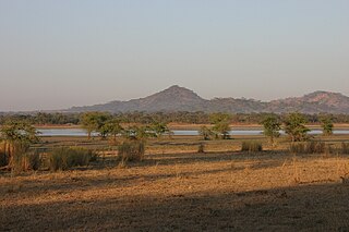 <span class="mw-page-title-main">Vwaza Marsh Game Reserve</span> National game reserve in Malawi