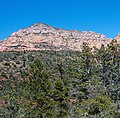 South aspect of Lost Wilson Mountain