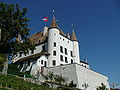 Nyon, Castle