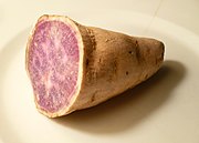 Purpur-Yams (Ube) (Dioscorea alata)