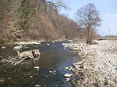 Renaturierung der Wiese bei Maulburg (6)