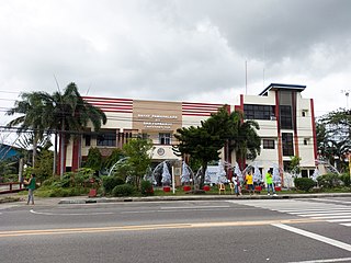 <span class="mw-page-title-main">San Fernando, Camarines Sur</span> Municipality in Camarines Sur, Philippines