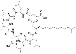 <span class="mw-page-title-main">Surfactin</span> Chemical compound