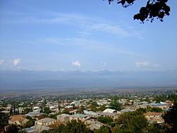 نمایی از شهر تلاوی