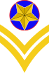 Military history WikiProject two-stripe award