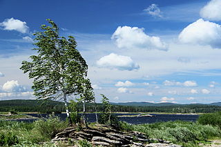 <span class="mw-page-title-main">Argayashsky District</span> District in Chelyabinsk Oblast, Russia