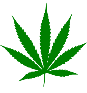 <span class="mw-page-title-main">Cannabinoid</span> Compounds found in cannabis