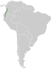 Coeligena wilsoni map.svg