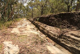 Convict-built road, Mount McQuoid, Great North Road, Bucketty, NSW.