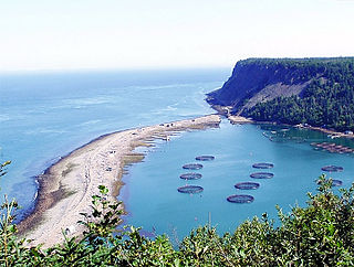 <span class="mw-page-title-main">Aquaculture in Canada</span>