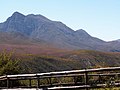 La riserva naturale di Grootvadersbosch sullo sfondo delle montagne Langeberg.