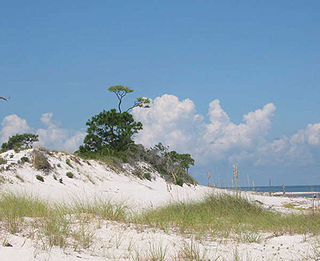 <span class="mw-page-title-main">Gulf Islands National Seashore</span> 96,000 underwater acres in Mississippi and Florida (US) managed by the National Park Service