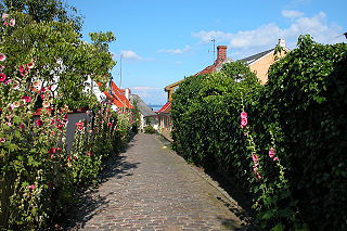 <span class="mw-page-title-main">Ærø</span> Danish Baltic Sea island